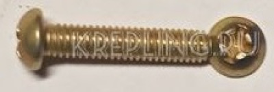 Винт 2М2,5х12.019 ГОСТ 17473